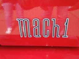 Ford Mustang Mach 1 2004